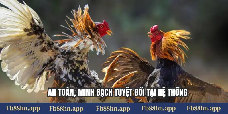 Đá Gà Thomo Fb88: Xem Live Gà Chiến Đỉnh Cao & Kinh Nghiệm Cược Chắc Thắng 5 An toàn, minh bạch tuyệt đối tại hệ thống